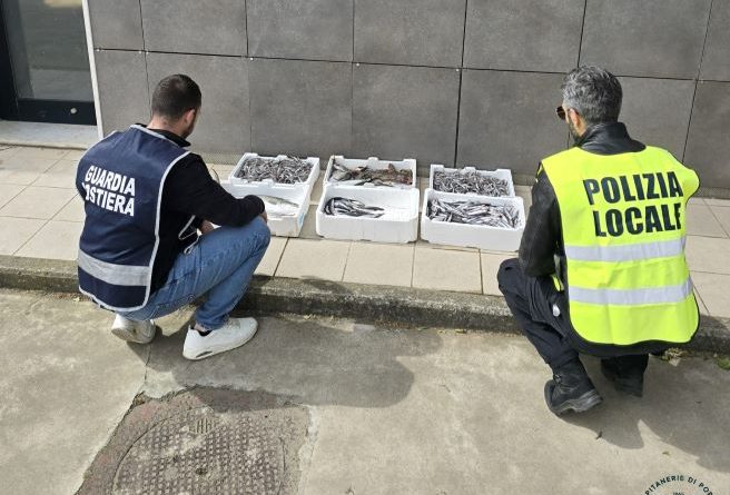 Crotone, pugno di ferro sulla vendita illegale: sequestrati 28 kg di pesce senza tracciabilità