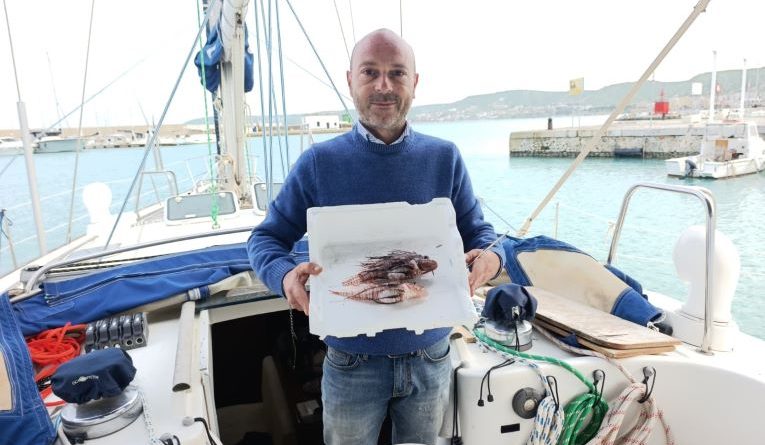 Allarme nel Mar Ionio: 2 esemplari di Pesce Leone catturati al largo di Crotone l’appello del Circolo IBIS alla collaborazione tra pescatori e scienziati.