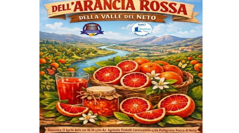 Oro Rosso in Festa: la Valle del Neto Celebra la sua Arancia