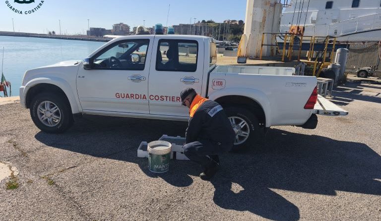 Guardia Costiera di Crotone: duro colpo alla Pesca Illegale, sequestrati 65 kg di novellame
