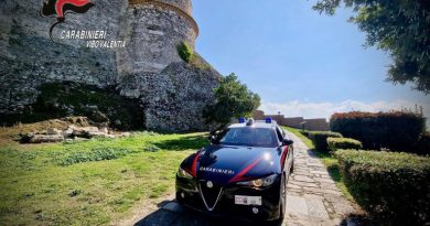 Controlli a tappeto nel Vibonese: un arresto, denunce e pugno duro contro l’illegalità