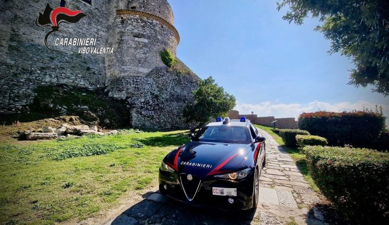 Controlli a tappeto nel Vibonese: un arresto, denunce e pugno duro contro l’illegalità