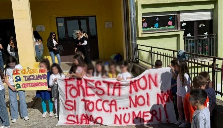 Foresta in piazza per la sua scuola: “La prima non si tocca”