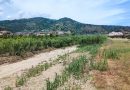 Fiumarella, addio ai rifiuti pericolosi: al via la bonifica da 200mila euro a Montepaone