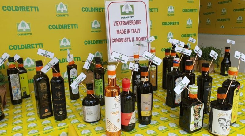 Guerra dell’olio in Calabria: tra frodi e prezzi stracciati, Coldiretti lancia il piano di battaglia Guerra dell’olio in Calabria: tra frodi e prezzi stracciati, Coldiretti lancia il piano di battaglia