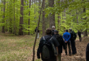 Il Parco della Sila diventa un “Living Lab”: al via il progetto europeo FORbEST per la salvaguardia delle foreste