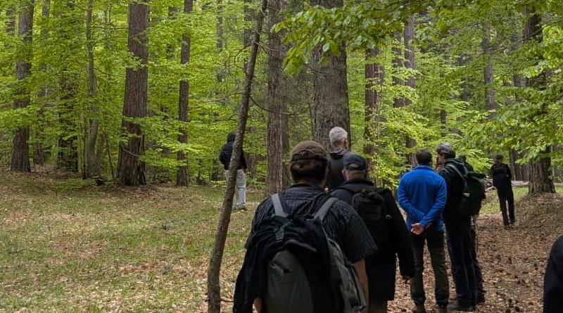 Il Parco della Sila diventa un “Living Lab”: al via il progetto europeo FORbEST per la salvaguardia delle foreste