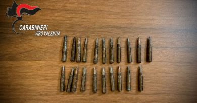 Fabrizia: rinvenute 21 cartucce occultate tra la vegetazione. sequestrate dai Carabinieri