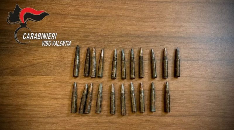 Fabrizia: rinvenute 21 cartucce occultate tra la vegetazione. sequestrate dai Carabinieri