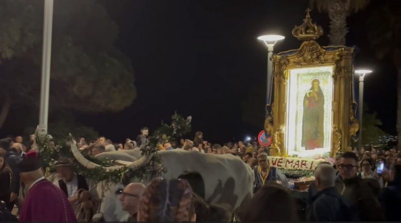 VIDEO – Accade ogni sette anni la Madonna Nera è portata dai buoi: a Crotone il rito che unisce fede e storia
