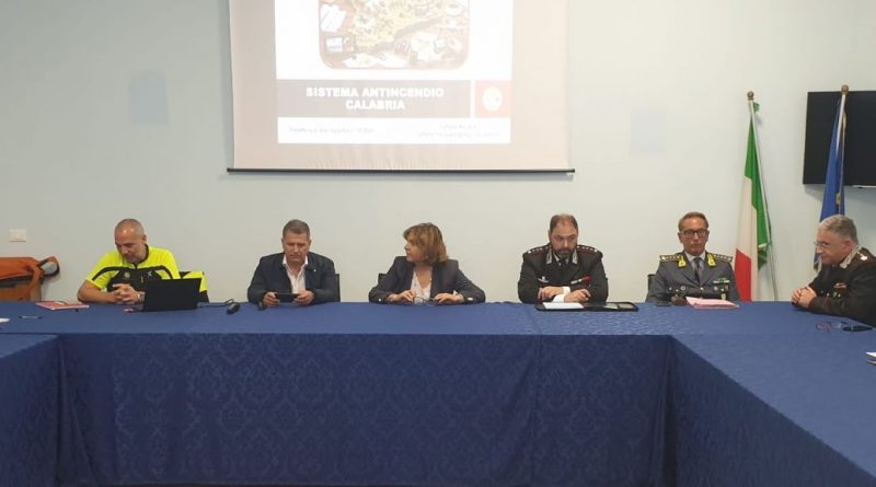 Vibo Valentia, scatta il piano anti-incendi: droni e prevenzione le armi contro i roghi