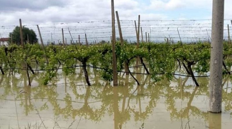 Cicloni in Calabria, la Giunta dichiara lo stato di calamità: “Danni gravissimi all’agricoltura”