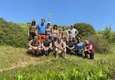AgrariaUniRC in prima linea per la biodiversità: successo per il BioBlitz a Ferruzzano