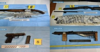 Blitz a Reggio Calabria, scoperto un arsenale in un appartamento: sequestrati fucili e una pistola