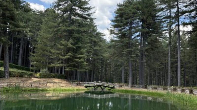 Dalla Sila alla Grecia, un’alleanza per la biodiversità: il Parco Nazionale ospita il vertice del progetto NATURES