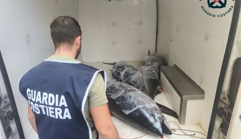 Blitz della Guardia Costiera nel Crotonese: reti abusive nell’Area Protetta e mezza tonnellata di tonno rosso senza tracciabilità sotto sequestro