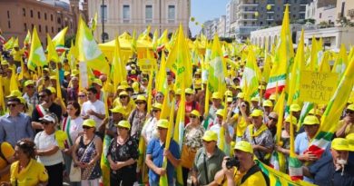 La rivolta dell’oro verde: Coldiretti Calabria scende in piazza a Bari contro i “pirati” dell’extravergine