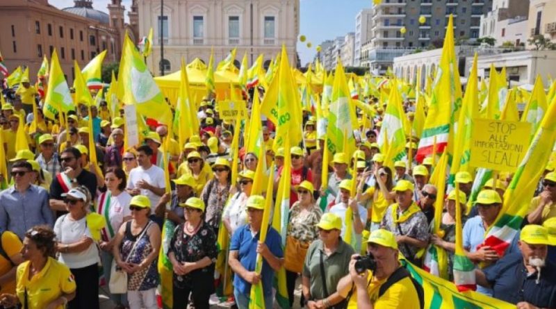 La rivolta dell’oro verde: Coldiretti Calabria scende in piazza a Bari contro i “pirati” dell’extravergine