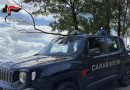 Montebello Jonico: i Carabinieri di Melito di Porto Salvo catturano soggetto per furto in abitazione