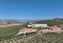 Agricoltura 4.0 in Calabria: droni e tecnologie di precisione in campo all’ Azienda Agricola La Pizzuta del Principe per lo Smart Farming Day