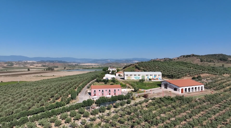 Agricoltura 4.0 in Calabria: droni e tecnologie di precisione in campo all’ Azienda Agricola La Pizzuta del Principe per lo Smart Farming Day