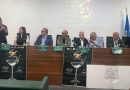 Calabria, l’impero segreto degli amari: a Fuscaldo va in scena la rivoluzione degli spirits