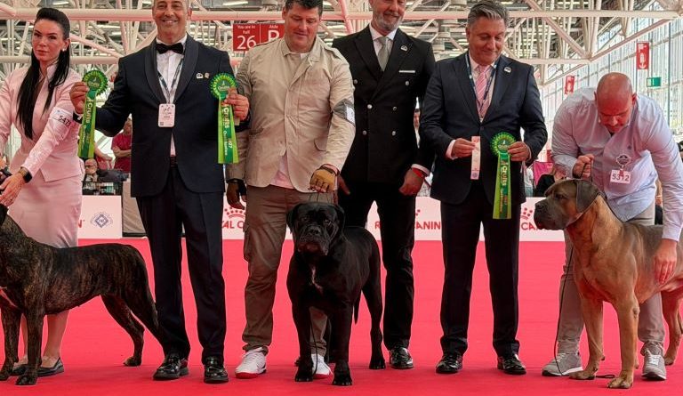 Gressa, un Cane Corso di Catanzaro, è la Regina del Mondo: Apoteosi Tricolore al World Dog Show 2026