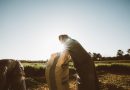 Stop ai cantieri e ai campi sotto il sole cocente dalle 12,30 alle 16,00: la Calabria si scherma dal grande caldo con un’ordinanza di precisione