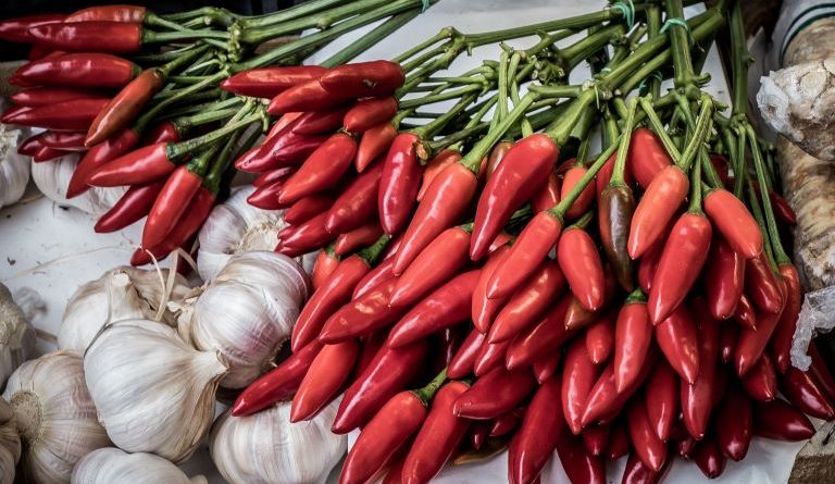 Il Peperoncino di Calabria è ufficialmente IGP: la svolta che accende il riscatto agricolo della regione