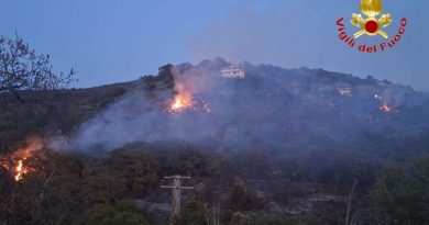 Vasto incendio nel Vibonese: treni bloccati tra Eccellente e Rosarno, in azione Vigili del Fuoco e Calabria Verde