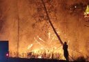 Emergenza incendi in Calabria: è assedio dei piromani. Scoperti inneschi ritardati e trappole crudeli