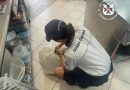 Blitz della Guardia Costiera nel Crotonese: raffica di multe ai lidi e sequestri di pesce nei ristoranti