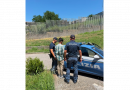 Polizia di Stato – Immigrazione irregolare: disposto dal Questore di Catanzaro il trattenimento di un cittadino straniero nel Centro di Permanenza per i Rimpatri di Potenza