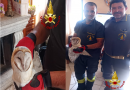 Mesoraca, vigili del fuoco salvano un barbagianni intrappolato nella canna fumaria