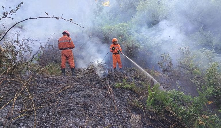 Tiriolo, fiamme a ridosso delle case: l’intervento dei “Diavoli Rossi” evita il disastro