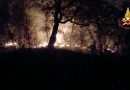 Emergenza incendi in Calabria: oltre 40 interventi nel Vibonese, fiamme vicino al carcere di Castrovillari e vasto rogo in un’autodemolizione a Crotone