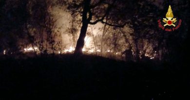 Emergenza incendi in Calabria: oltre 40 interventi nel Vibonese, fiamme vicino al carcere di Castrovillari e vasto rogo in un’autodemolizione a Crotone
