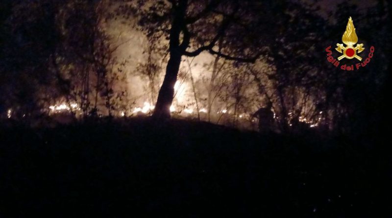 Emergenza incendi in Calabria: oltre 40 interventi nel Vibonese, fiamme vicino al carcere di Castrovillari e vasto rogo in un’autodemolizione a Crotone