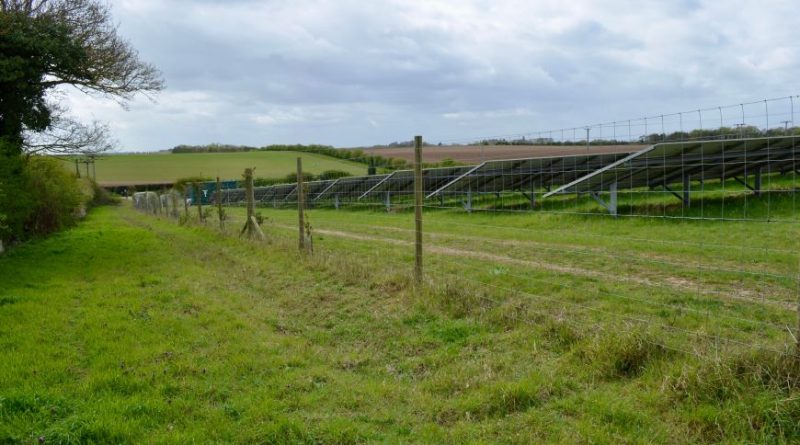 No al mega-impianto fotovoltaico sulla Piana degli Scrisi: mobilitazione record a Maierato