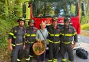 Disperso nei boschi di Serra San Bruno: cercatore di funghi perde l’orientamento, salvato in venti minuti
