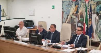 Riforma del Trasporto Pubblico Locale: Ampio Confronto in IV Commissione