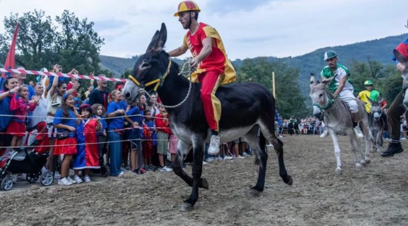 Laino Borgo in festa: il Palio cu i ciucci 2026 va alla Contrada San Biasu