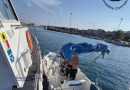 Crotone, pugno duro della Guardia Costiera: pioggia di multe a diportisti e lidi. Tratto in salvo un natante, salvata tartaruga Caretta Caretta