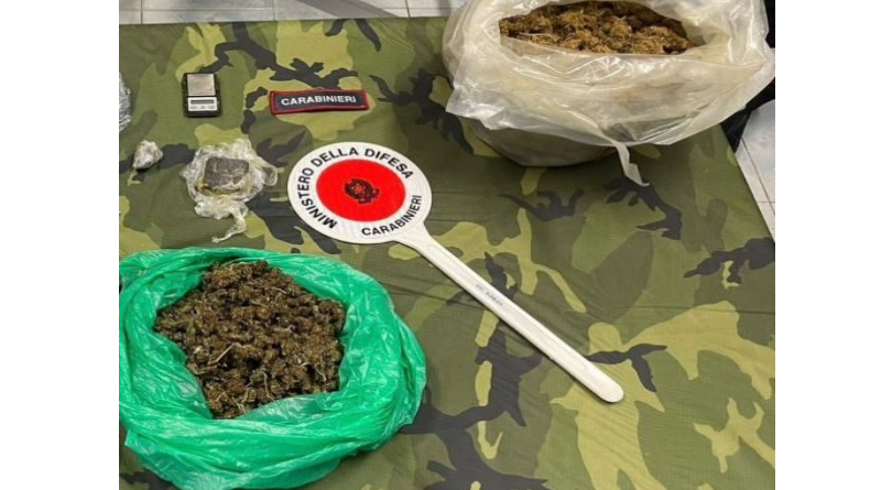 Diamante, blitz antidroga dei Carabinieri: arrestato un 28enne con quasi 400 grammi di marijuana