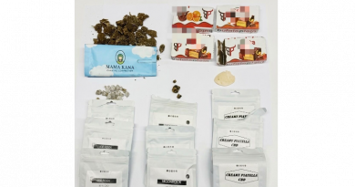 Crotone, giro di vite sullo spaccio: due arresti e quasi un chilo di droga sequestrato dai Carabinieri