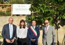Visita del Ministro Bernini agli atenei calabresi: Mediterranea e UniCal tra campus sostenibili e nuova astrofisica