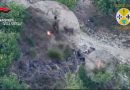 VIDEO – Sorpreso dal drone mentre appicca il fuoco: arrestato un allevatore nel Vibonese