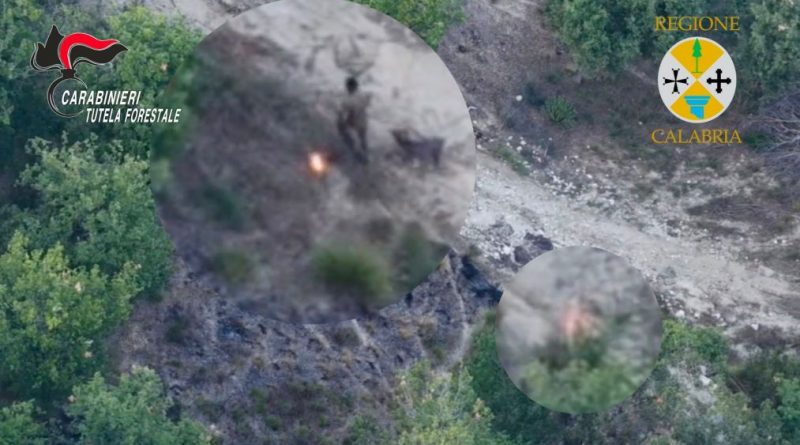 VIDEO – Sorpreso dal drone mentre appicca il fuoco: arrestato un allevatore nel Vibonese