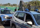 Operazione “Alto Impatto” a Gioia Tauro: setacciato il rione Ciambra, controlli a tappeto e sequestri