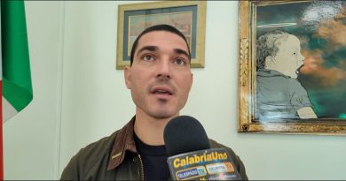 Crotone, stop alle strisce blu davanti all’ospedale e sosta gratis per le auto elettriche: la mozione in Consiglio Comunale